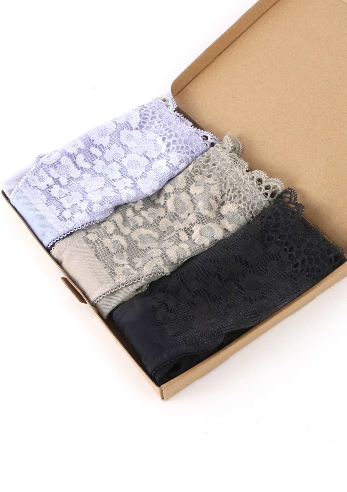HSIA Front Lace Leopard Bikini Panties 3 Pack