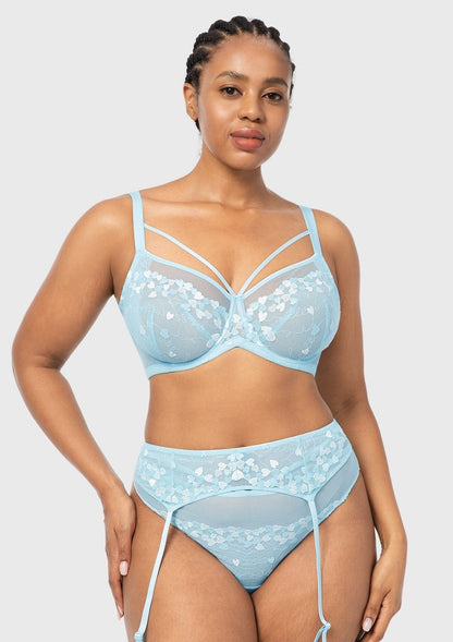 HSIA Renna Holiday Edit Embroidery Pink Lace Underwire Bra