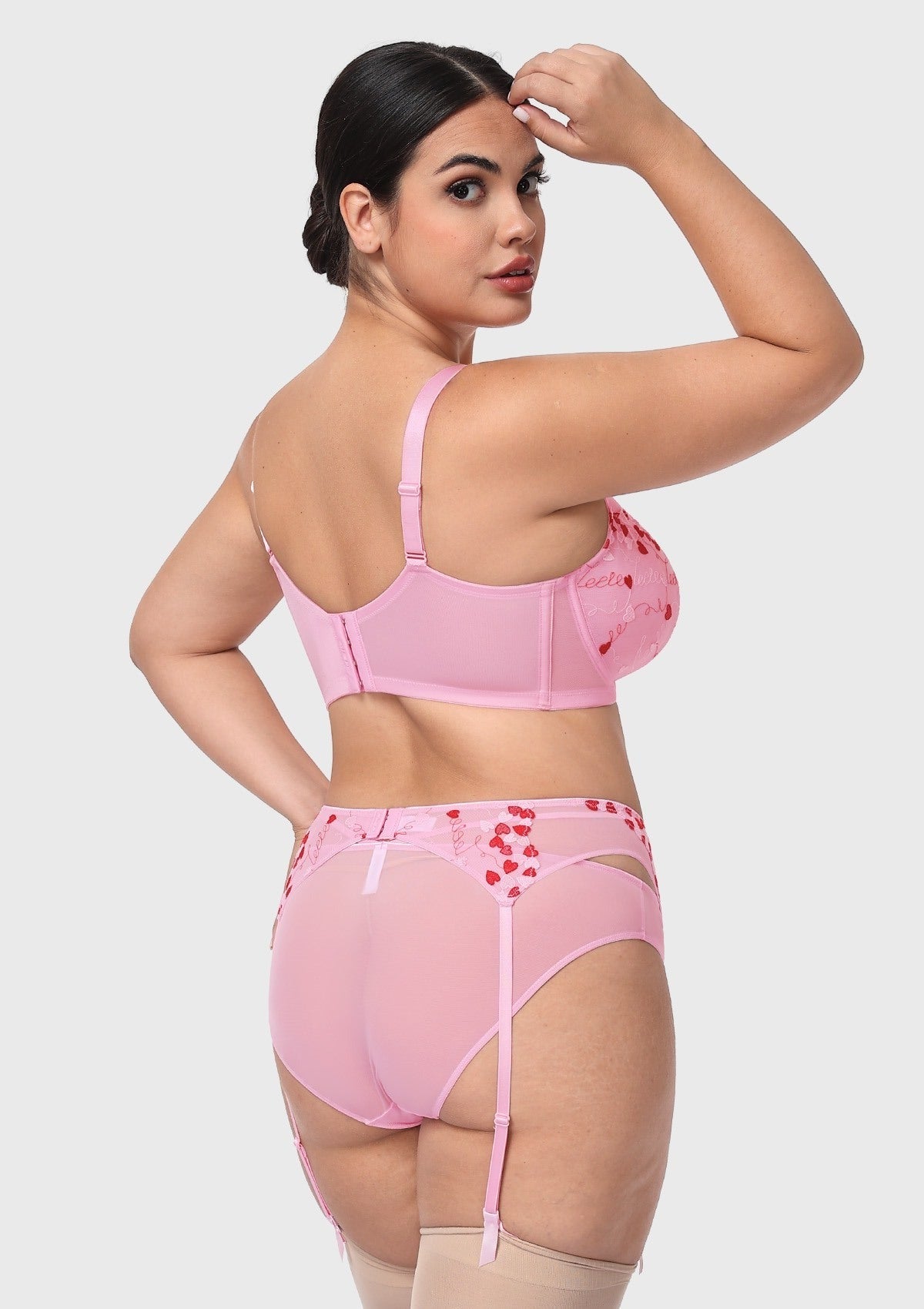 HSIA Renna Holiday Edit Embroidery Pink Lace Underwire Bra