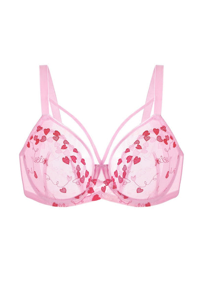HSIA Renna Holiday Edit Embroidery Pink Lace Underwire Bra