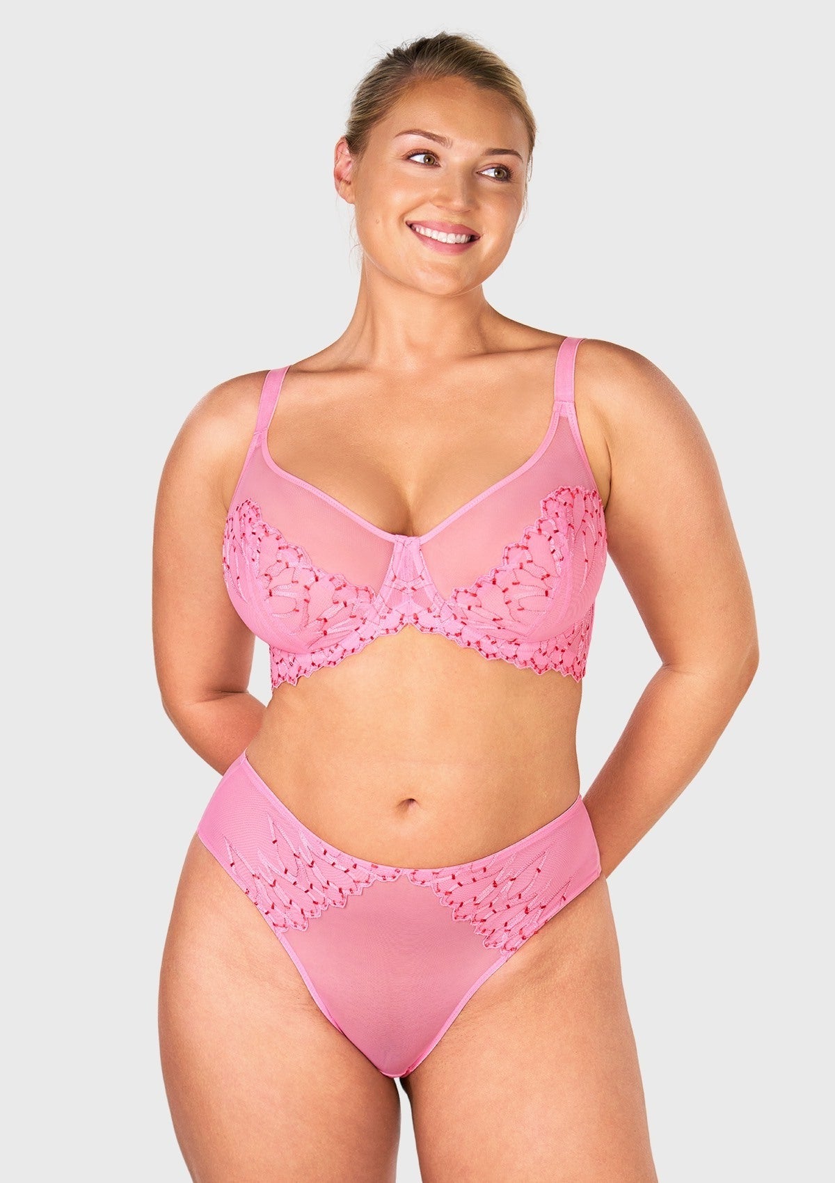 Winter Sonata Embroidered Lace Trim Full Coverage Unlined Underwire Bra