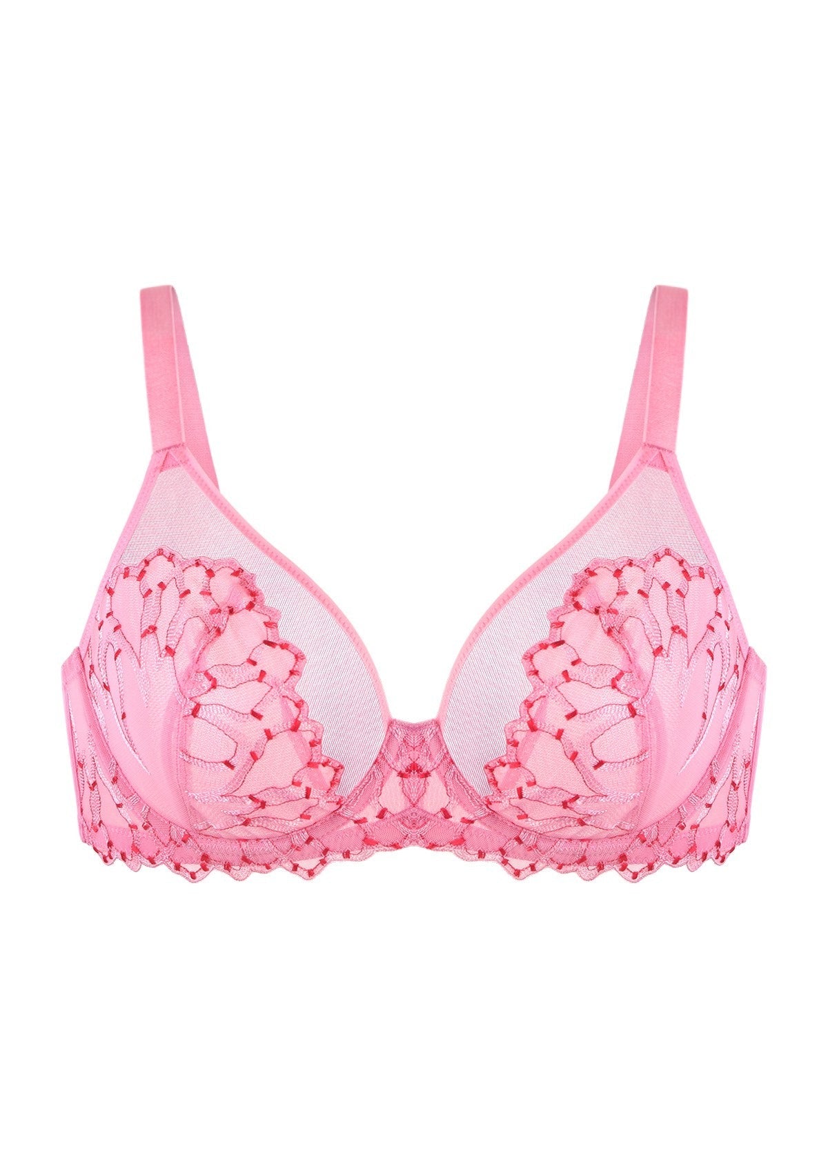 Winter Sonata Embroidered Lace Trim Full Coverage Unlined Underwire Bra